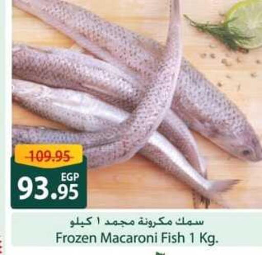 available at Spinneys  in Egypt - Cairo