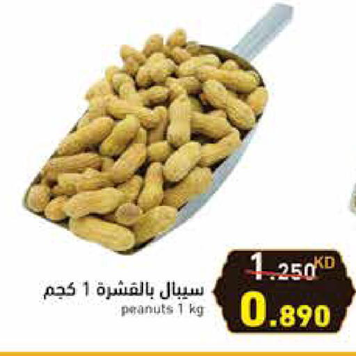 available at  رامز in الكويت - محافظة الجهراء