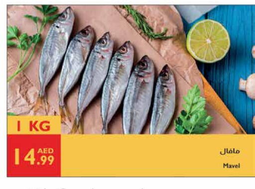 available at إسطنبول سوبرماركت in الإمارات العربية المتحدة , الامارات - ٱلْعَيْن‎