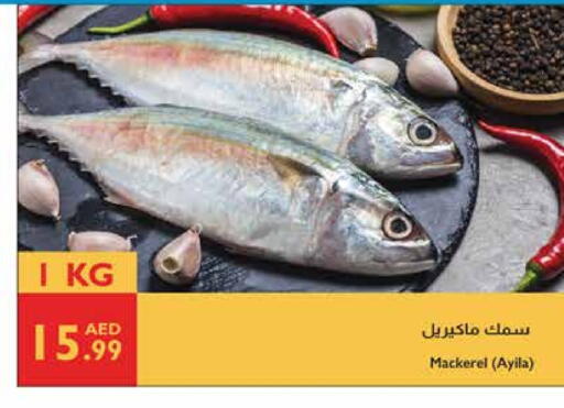 available at إسطنبول سوبرماركت in الإمارات العربية المتحدة , الامارات - ٱلْعَيْن‎