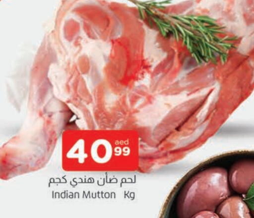 لحم الضأن / الغنم available at المدينة in الإمارات العربية المتحدة , الامارات - الشارقة / عجمان