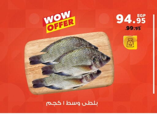 available at Panda  in Egypt - Cairo
