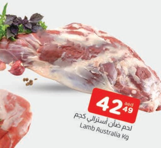 لحم الضأن / الغنم available at المدينة in الإمارات العربية المتحدة , الامارات - الشارقة / عجمان
