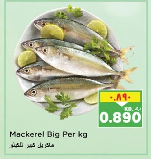 available at Nesto Hypermarkets in Kuwait - Ahmadi Governorate