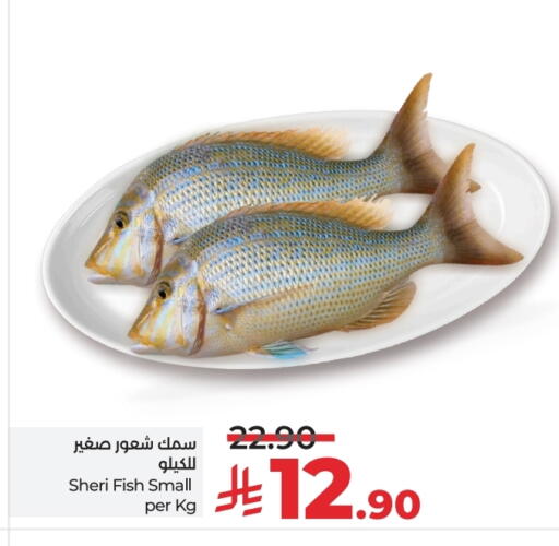 available at LULU Hypermarket in KSA, Saudi Arabia, Saudi - Riyadh