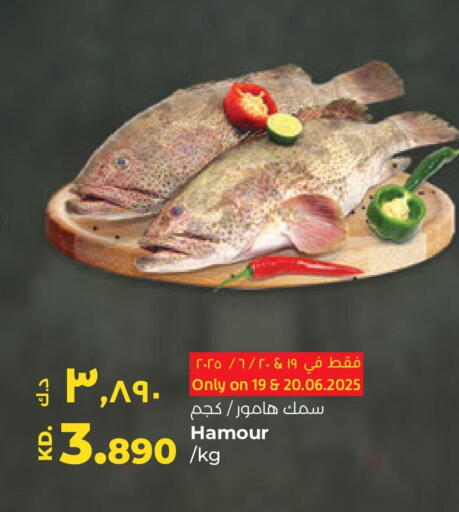 available at Lulu Hypermarket  in Kuwait - Jahra Governorate