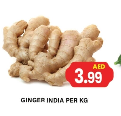 Ginger from India available at Gulf Hypermarket LLC in UAE - Ras al Khaimah