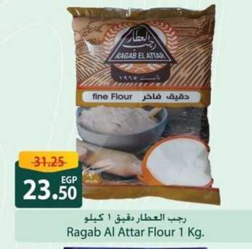 All Purpose Flour available at Spinneys  in Egypt - Cairo