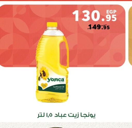 Sunflower Oil available at Panda  in Egypt - Cairo