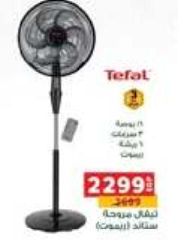 TEFAL Fan available at Panda  in Egypt - Cairo