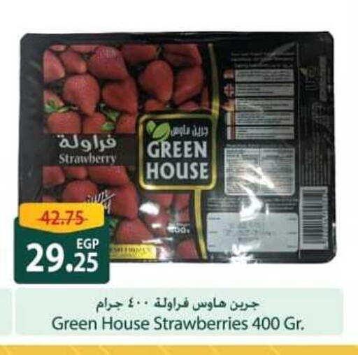 فواكه وخضار مجمدة in سبينس, Egypt Offers - Egypt Strawberry available at سبينس in Egypt - القاهرة