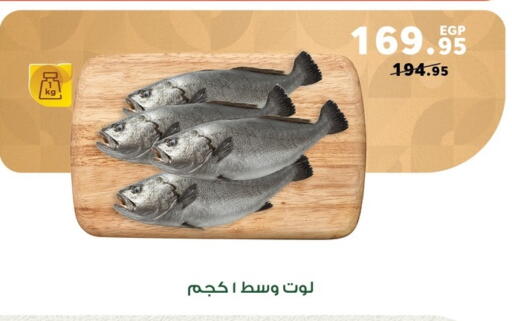 available at Panda  in Egypt - Cairo