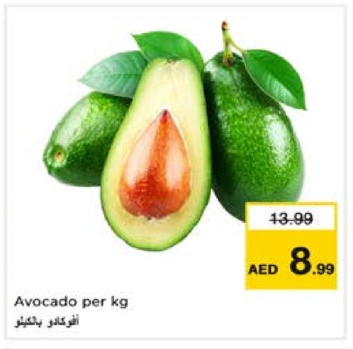 Avocado available at Nesto Hypermarket in UAE - Dubai
