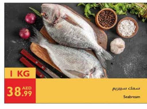 available at إسطنبول سوبرماركت in الإمارات العربية المتحدة , الامارات - ٱلْعَيْن‎