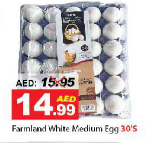 available at DESERT FRESH MARKET  in UAE - Abu Dhabi