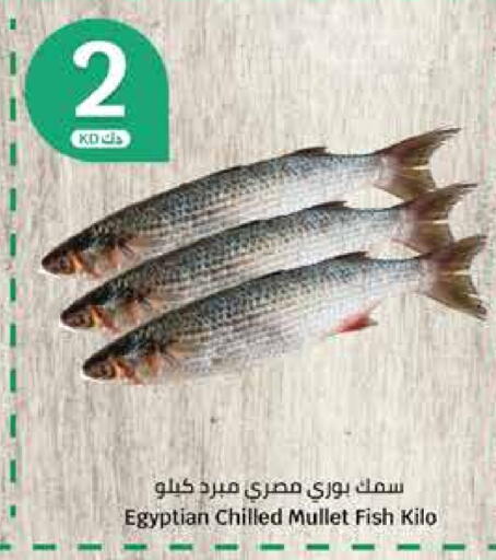 available at City Hypermarket in Kuwait - Ahmadi Governorate