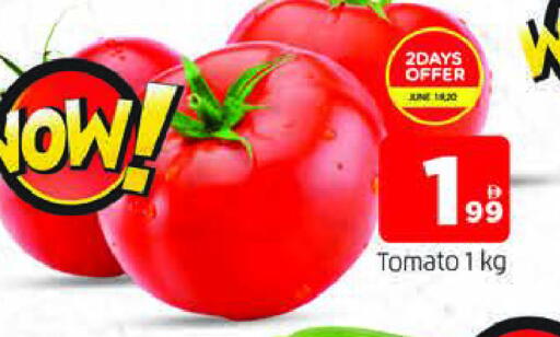 Tomato available at المدينة in الإمارات العربية المتحدة , الامارات - الشارقة / عجمان