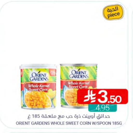 available at Muntazah Markets in KSA, Saudi Arabia, Saudi - Qatif