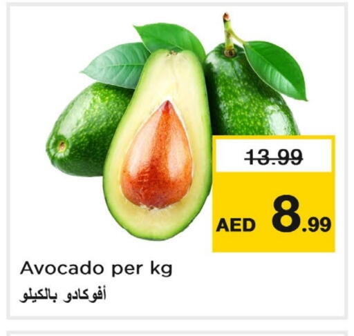 أفوكادو available at لاست تشانس in الإمارات العربية المتحدة , الامارات - ٱلْفُجَيْرَة‎