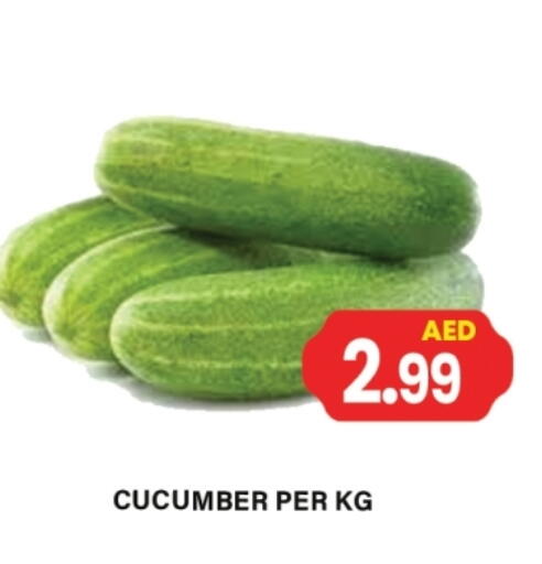 Cucumber available at Gulf Hypermarket LLC in UAE - Ras al Khaimah