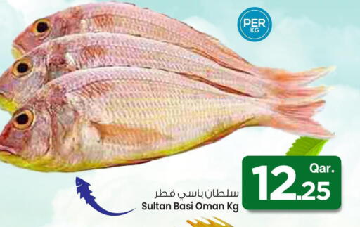 Fresh Fish in Mark & Save , Qatar Offers - Qatar available at Mark & Save in Qatar - Al-Shahaniya