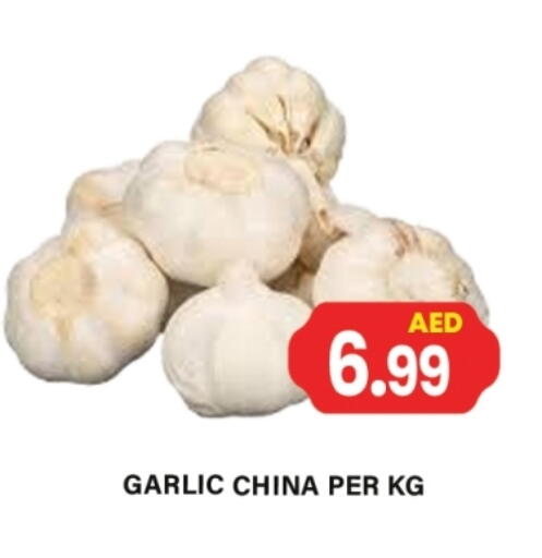 Garlic from China available at Gulf Hypermarket LLC in UAE - Ras al Khaimah