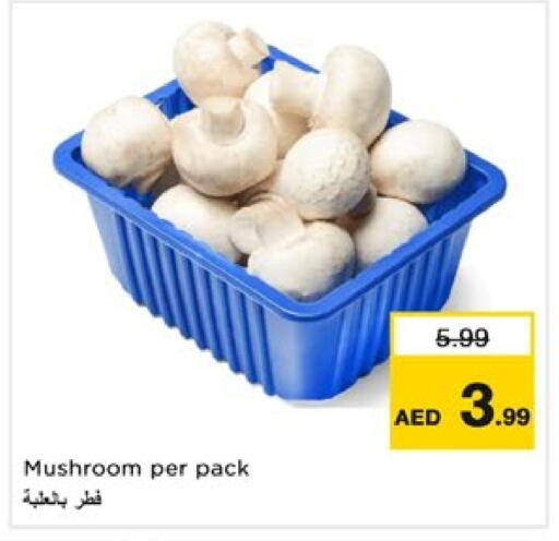 Mushroom available at Nesto Hypermarket in UAE - Dubai