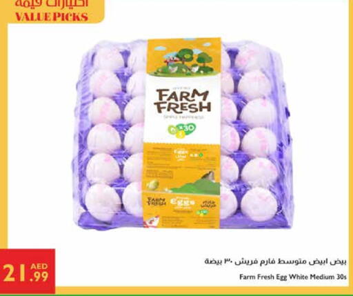 available at إسطنبول سوبرماركت in الإمارات العربية المتحدة , الامارات - ٱلْعَيْن‎