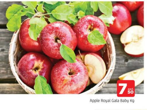 Apples available at AL MADINA in UAE - Sharjah / Ajman