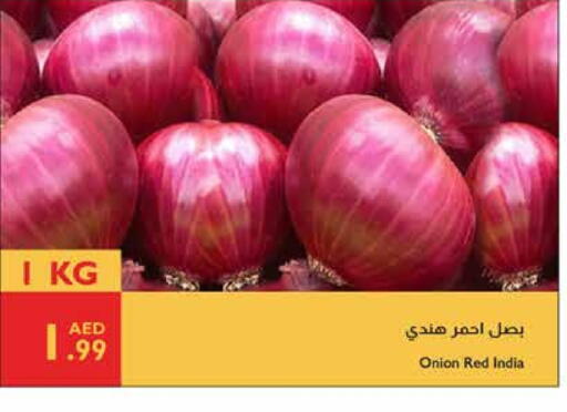 Onion from India available at Istanbul Supermarket in UAE - Al Ain