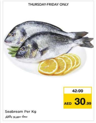 available at نستو هايبرماركت in الإمارات العربية المتحدة , الامارات - ٱلْعَيْن‎