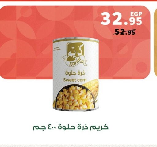 فواكه وخضار مجمدة in بنده, Egypt Offers - Egypt available at بنده in Egypt - القاهرة