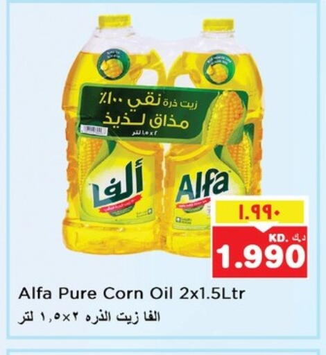 Oil & Ghee in Nesto Hypermarkets, Kuwait Offers - Kuwait ALFA Corn Oil available at Nesto Hypermarkets in Kuwait - Kuwait City