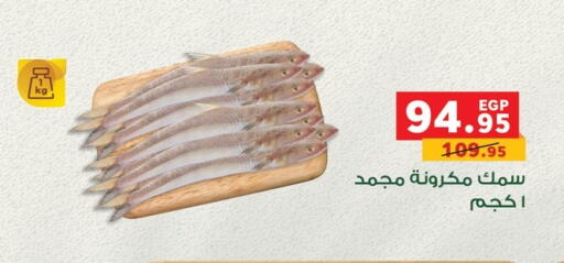 available at بنده in Egypt - القاهرة