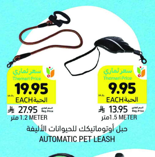 available at أسواق التميمي in مملكة العربية السعودية, السعودية, سعودية - المدينة المنورة