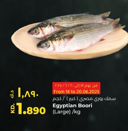 available at Lulu Hypermarket  in Kuwait - Jahra Governorate