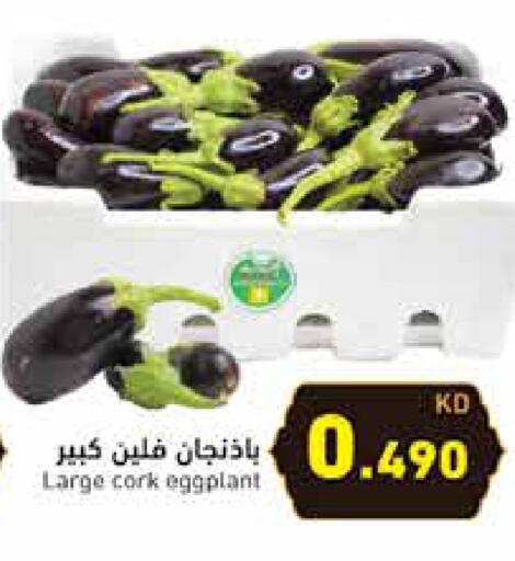 Eggplant available at Ramez in Kuwait - Ahmadi Governorate
