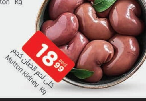 لحم الضأن / الغنم available at المدينة in الإمارات العربية المتحدة , الامارات - الشارقة / عجمان