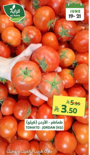 Tomato from Jordan available at Al Raya in KSA, Saudi Arabia, Saudi - Tabuk