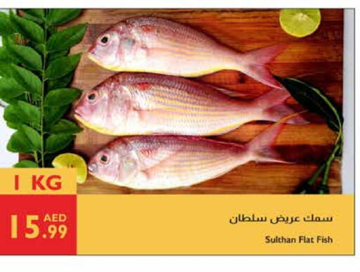 available at إسطنبول سوبرماركت in الإمارات العربية المتحدة , الامارات - ٱلْعَيْن‎