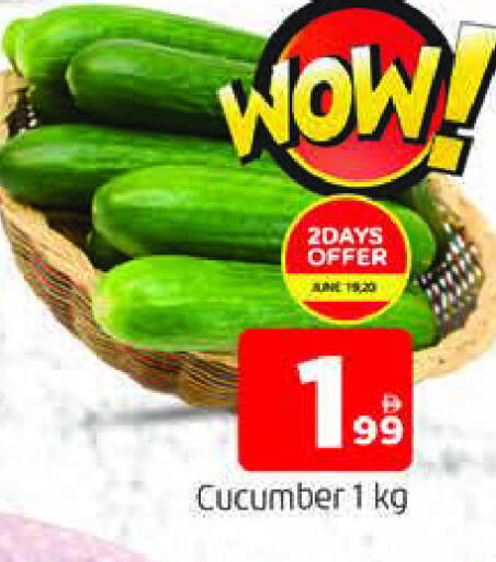 Cucumber available at المدينة in الإمارات العربية المتحدة , الامارات - الشارقة / عجمان