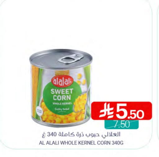 AL ALALI available at Muntazah Markets in KSA, Saudi Arabia, Saudi - Qatif