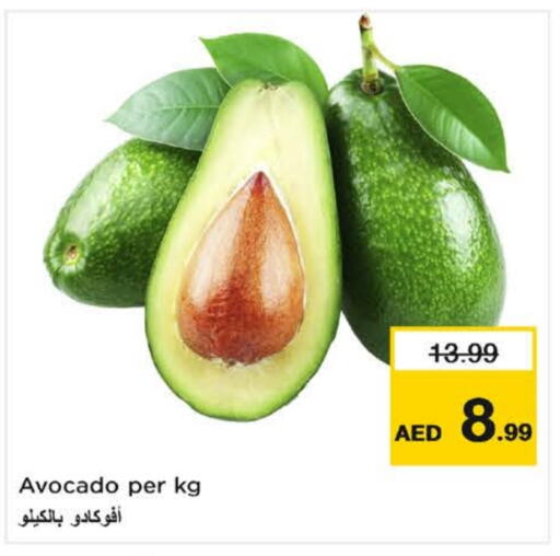 Avacado available at Nesto Hypermarket in UAE - Al Ain
