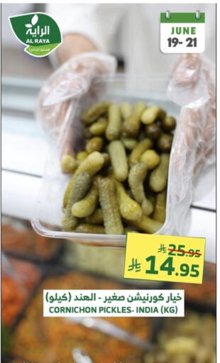 Canned & Packeted in Al Raya, Saudi Arabia Offers - Saudi Arabia Pickle available at Al Raya in KSA, Saudi Arabia, Saudi - Khamis Mushait
