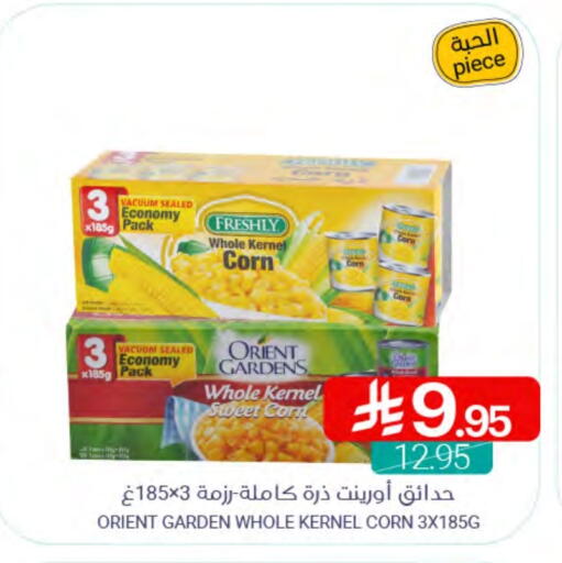 FRESHLY available at Muntazah Markets in KSA, Saudi Arabia, Saudi - Qatif