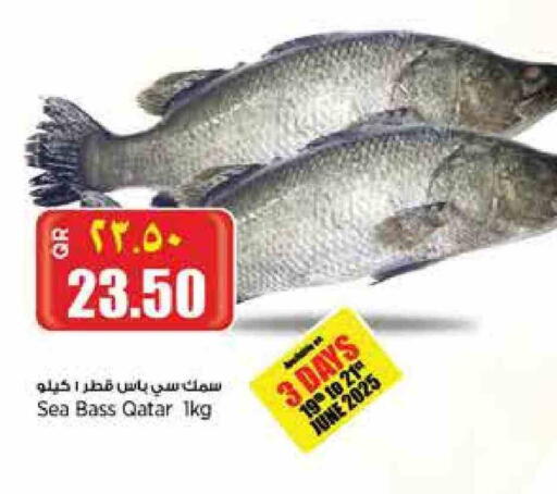 available at ريتيل مارت in قطر - الدوحة