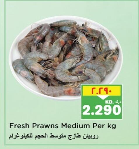 available at Nesto Hypermarkets in Kuwait - Ahmadi Governorate