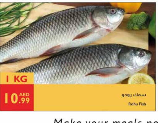 available at إسطنبول سوبرماركت in الإمارات العربية المتحدة , الامارات - ٱلْعَيْن‎