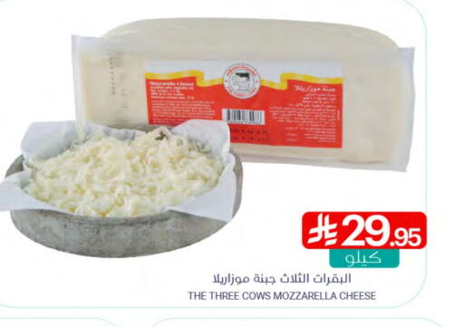 Mozzarella available at Muntazah Markets in KSA, Saudi Arabia, Saudi - Dammam