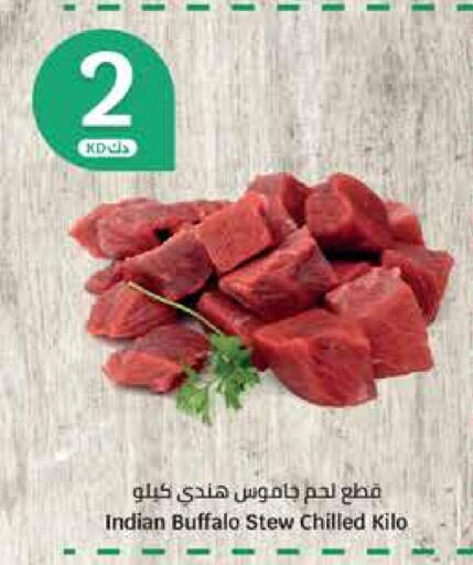 لحم جاموس available at سيتي هايبرماركت in الكويت - محافظة الجهراء